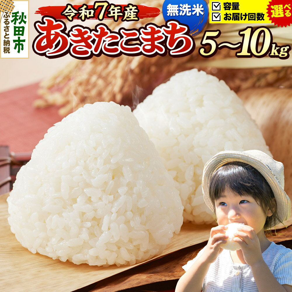 【ふるさと納税】《令和7年産》《選べる容量×お届け回数》 米 あきたこまち 5kg・10kg（5kg小分け袋） 【無洗米】 秋田県産