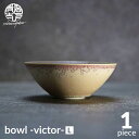 【ふるさと納税】【美濃焼】bowl -victor- L【陶芸家・宮下将太】 [MDL030]