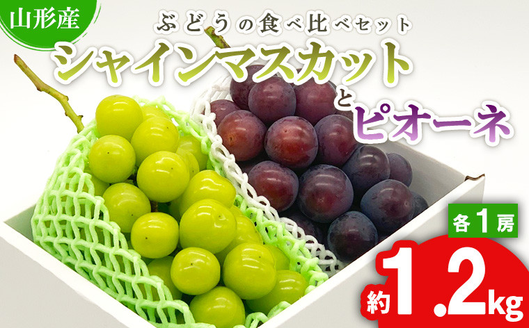 
★ぶどうの食べ比べセット★シャインマスカットとピオーネ 約1.2kg（各1房) 秀品 期間限定 【令和6年産先行予約】FS23-846
