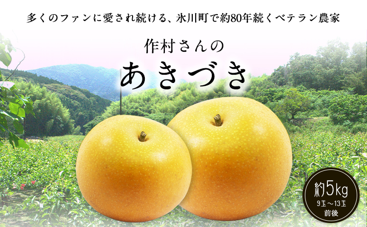 【先行予約】作村果樹園のあきづき梨 約5kg(9〜13玉前後) 熊本県氷川町産 作村果樹園《8月下旬-9月末頃出荷》梨 なし