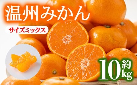 ＜先行予約！2026年12月上旬以降順次発送予定＞香川県産 温州みかん(約10kg/サイズミックス) 国産 果物 フルーツ ミカン 柑橘 新鮮 【man119-B】【Aglio nero】