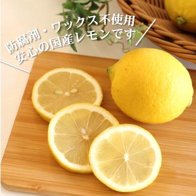 ふるさと納税 日高町 ★先行受付★【ノーワックス】国産 紀州 レモン 約5kg(サイズおまかせ) |  | 01