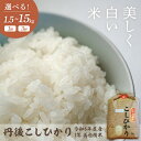 【ふるさと納税】【5営業日以内に発送】令和6年産 美白精米 丹後こしひかり 1等米 選べる 回数 内容量 3kg 5kg 10kg 1回 3回 定期便 久美浜 国産 産地直送 お米 白米 丹後コシヒカリ おにぎり お弁当 京都産 京丹後 こしひかり 精米 ふるさと納税 コシヒカリ 米