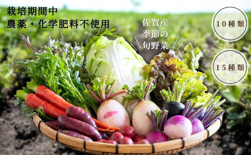 
                  佐賀産季節の旬野菜（栽培期間中農薬・化学肥料不使用） 選べる10種類or15種類
                