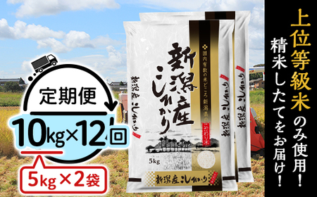31-K10Z【12ヶ月連続お届け】新潟県産コシヒカリ10kg（5kg×2袋）