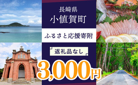 【返礼品なし】長崎県小値賀町 ふるさと応援寄附金（3,000円分）[DYZ002]