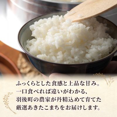 ふるさと納税 羽後町 【先行予約】令和8年産 秋田県産あきたこまち 5kg×1袋[No.5325-0693] |  | 01