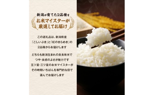R8年産 新潟県産 品種おまかせ  5kg 2か月定期便 新潟県 新潟市産 令和8年産 お米 精米 米 ご飯 送料無料