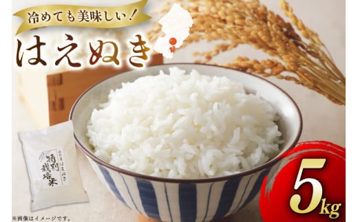 米 令和7年度産 はえぬき 5kg [渡部ファーム 山形県 高畠町 tk06ays810033] お米 白米 精米 ごはん ご飯 ブランド米
