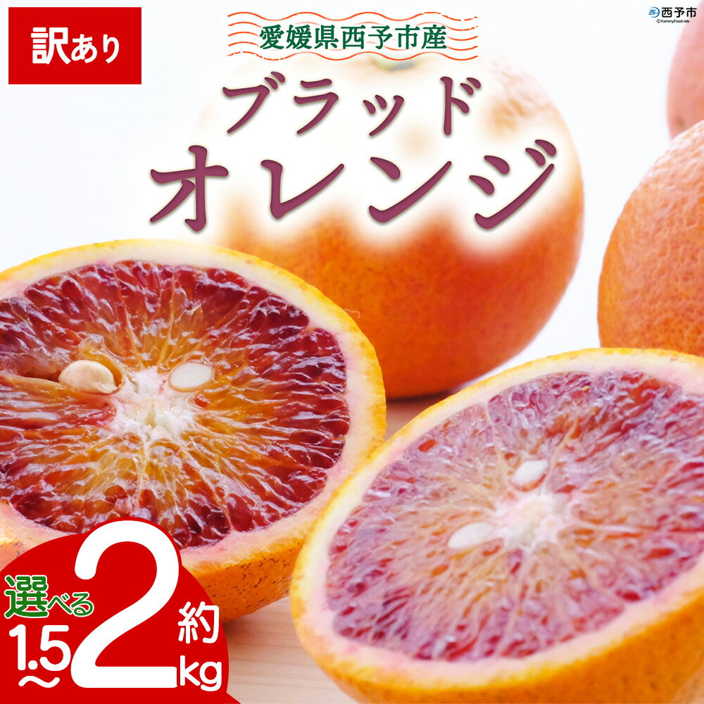 【ふるさと納税】【先行予約】＜訳あり 愛媛県産 ブラッドオレンジ 約1.5kg／2kg＞『2027年2月以降順次出荷予定』選べる タロッコ 希少 赤い みかん ご家庭用 ご自宅 蜜柑 果肉 果物 柑橘 フルーツ オレンジ 国産 濃厚 ミヤモトオレンジガーデン 愛媛県 西予市【常温】
