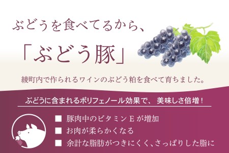 国産 豚肉 ブランド 豚 綾ぶどう豚 詰め合わせ よくばり セット 2.7kg 小分け 調理 バラエティー とんかつ 生姜焼き 焼肉 ミンチ 日時 指定 可能（22-35）