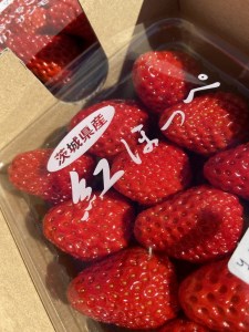 農家直送！紅ほっぺ4パック入り サイズおまかせ【果物類・いちご・苺・イチゴ・農家直送・紅ほっぺ・4パック・季節限定・詰め合わせ】 ※2026年2月頃～5月上旬頃に順次発送予定