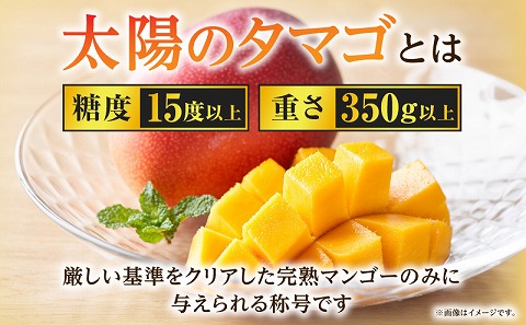《2027年発送先行予約》【数量・期間限定】宮崎特産品 宮崎県産完熟マンゴー 太陽のタマゴ 3L×2玉 糖度15度以上 マンゴー 完熟 完熟マンゴー フルーツ 果物 デザート 宮崎マンゴー 宮崎名物 