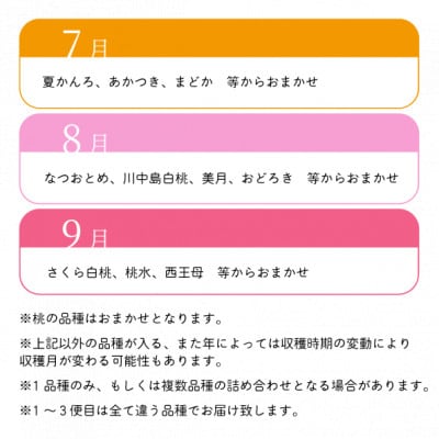 【発送月固定定期便】桃好きの為の、桃3回便!(上級品5−7玉入)(岡山県産)全3回【配送不可地域：離島】【4061981】