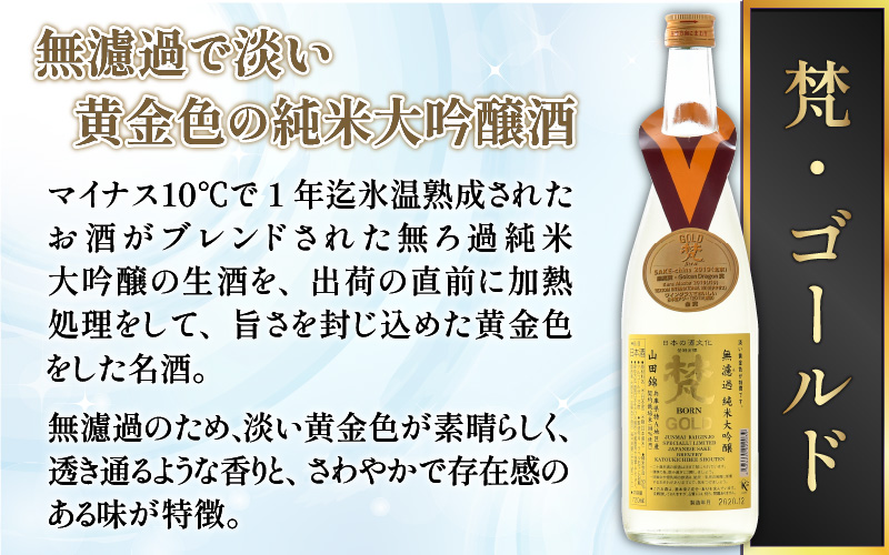 【ふるさと納税】【鯖江の銘酒を贅沢に飲み比べ】【先行予約】【限定120セット】【2025年2月10日～順次発送】世界の梵 日本酒6種飲み比べ