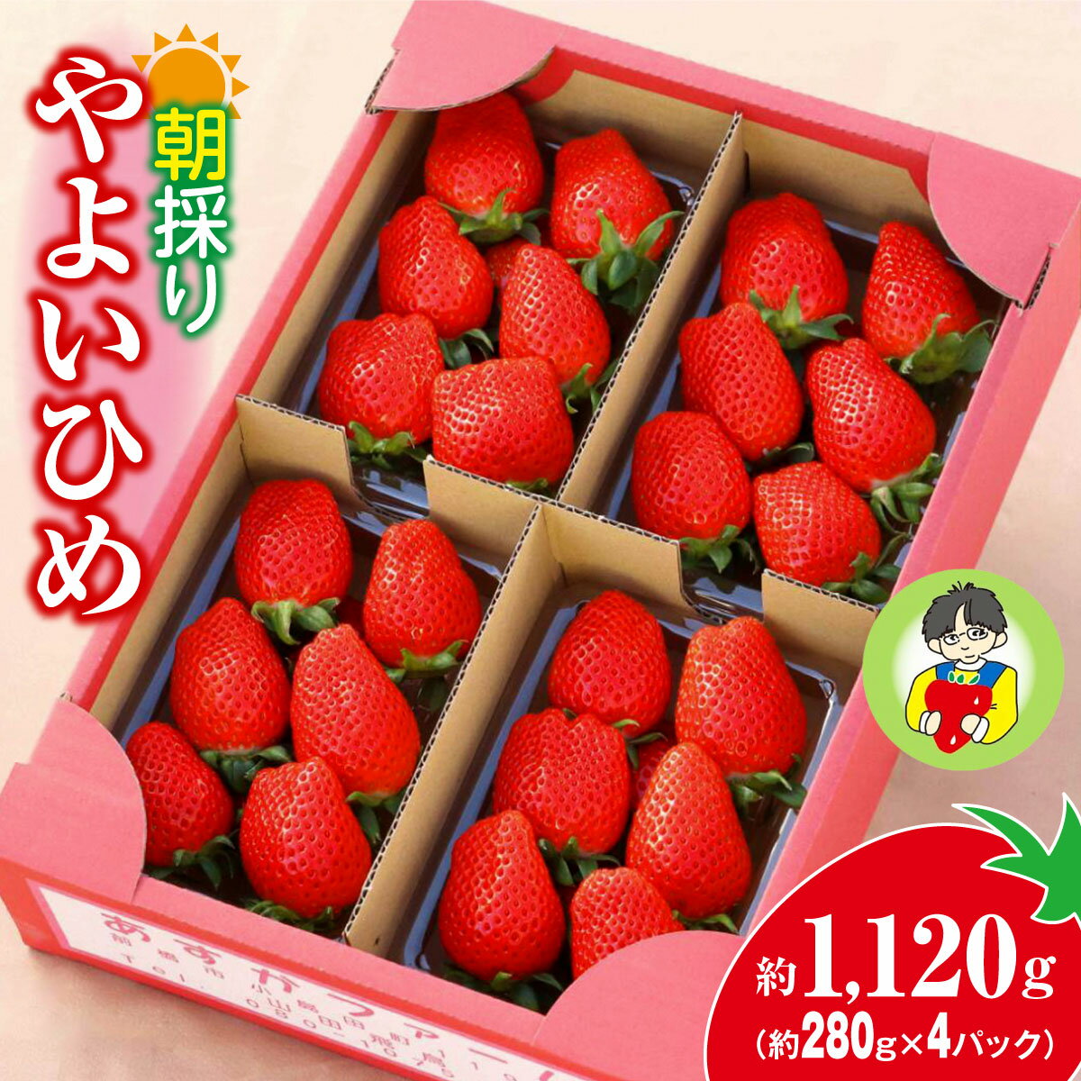 【ふるさと納税】＜2026年 先行予約＞やよいひめ 280g × 4パック｜コク 甘み 朝採れ やよいひめ 大粒 甘み 酸味 バランス 贈答用 新鮮 完熟 いちご 旬 苺 ストロベリー 産地直送 果汁 甘い あまい 人気 高評価 減農薬 美容 健康 旨味 高糖度 ごほうび 群馬県 前橋市 R5-80