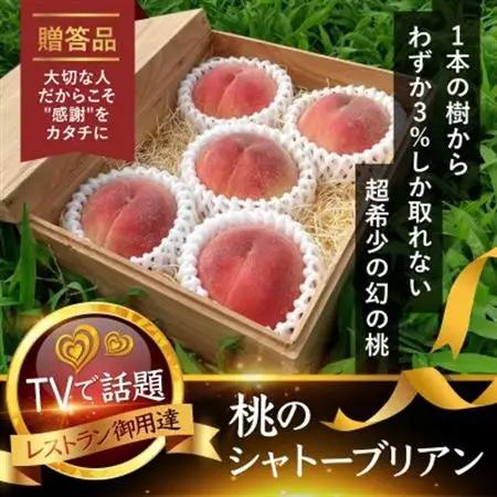 【TVで人気爆発】御中元選ばれる1000個中1個の希少性『幻のシャトーブリアン桃』8月上旬～順次発送【配送不可地域：離島・北海道・沖縄県・中国・四国・九州】【1586347】
