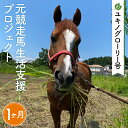 【ふるさと納税】No.376 【ユキノグローリー号】元競走馬生活支援プロジェクト（1ヶ月） ／ 馬 競馬 引退 余生 飼育 治療 管理 支援活動 送料無料 埼玉県