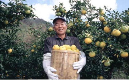 高知県 産 柚子 100% ドリンク 原液 1L × 1本 果物 果汁 100% 無添加 ジュース 高知県産 須崎市 ( 柚子 ゆず ユズ 柚子 ゆず ユズ 柚子 ゆず ユズ 柚子 ゆず ユズ 柚子 