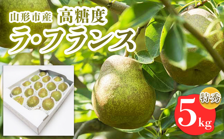 
            山形市産【高糖度ラフランス】特秀品 5kg (10～18玉)  極上フルーツ  洋梨 山形 【令和7年産先行予約】FS24-822
          
