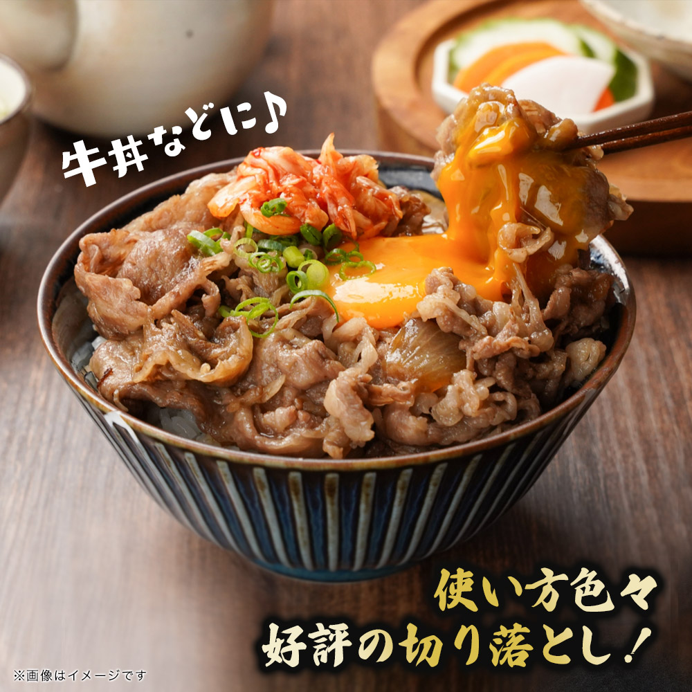 博多和牛 切り落とし 定期便全3回 計約1.5kg 肉 お肉 博多和牛 和牛 牛肉 バラ カタ モモ ウデ 赤身 切り落とし 国産 2～3人前 500g 冷凍 冷凍配送 使い切りサイズ 柔らかい ジュ