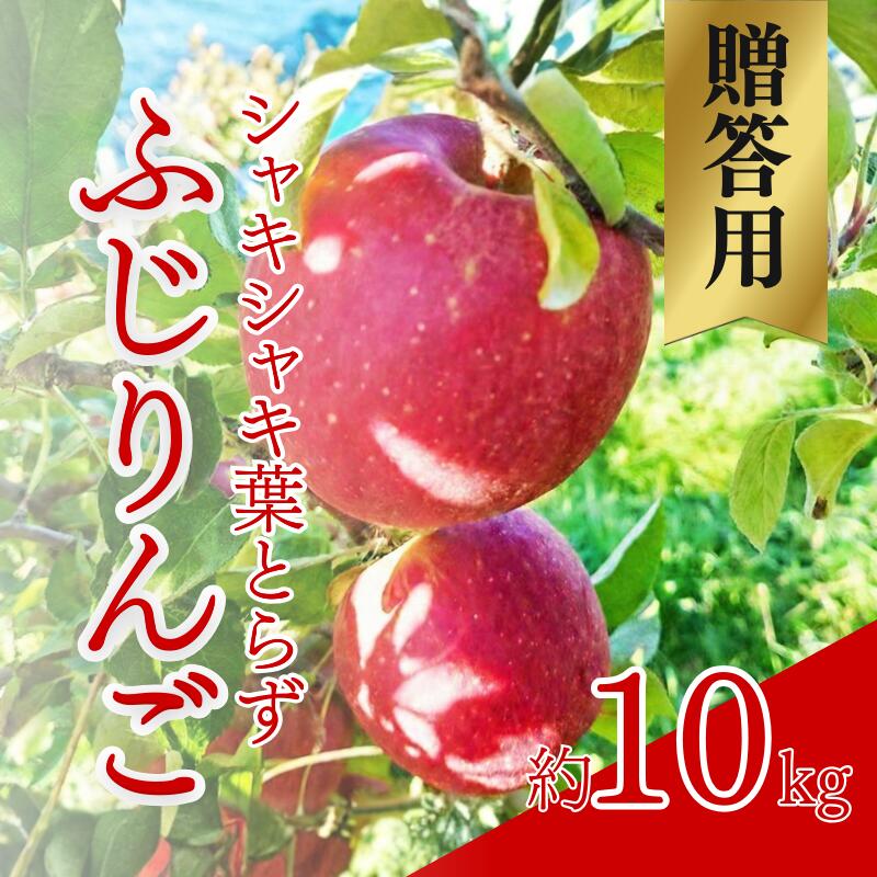 【ふるさと納税】シャキシャキ葉とらず ふじりんご 約10kg 特別栽培農産物 長野県産 りんご リンゴ フルーツ 果物 おやつ デザート 信州 上田 贈答用　お届け：2025年12月中旬～12月下旬まで