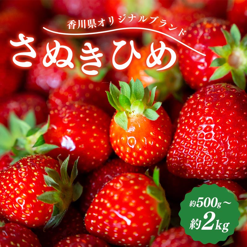 【ふるさと納税】 先行予約 いちご さぬきひめ 約500g～約2kg 果物 フルーツ 苺 デザート スイーツ ケーキ ジュース ゼリー アイス シャーベット ジェラート フルーツ大福 ドライフルーツ クレープ ギフト 旬の果物 旬 お取り寄せ グルメ 人気 おすすめ 香川県 丸亀市