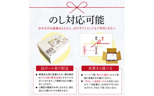 先行予約 土佐の柑橘 土佐文旦 10kg 詰め合わせ 文旦 ぶんたん 10キロ 柑橘 高知県 高知 返礼品 故郷納税 23000円 果物 くだもの フルーツ お取り寄せ 美味しい おいしい ギフト プ
