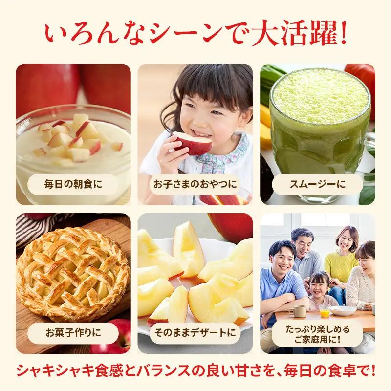 りんご 訳あり 3kg 果物 フルーツ わけあり 不揃い 規格外 ご家庭用 宮城県 大河原町 産地直送 林檎 リンゴ くだもの 先行予約 送料無料