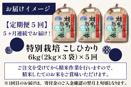 【新米予約受付中】令和8年産 特別栽培こしひかり 6kg 5回定期便【J-002003】