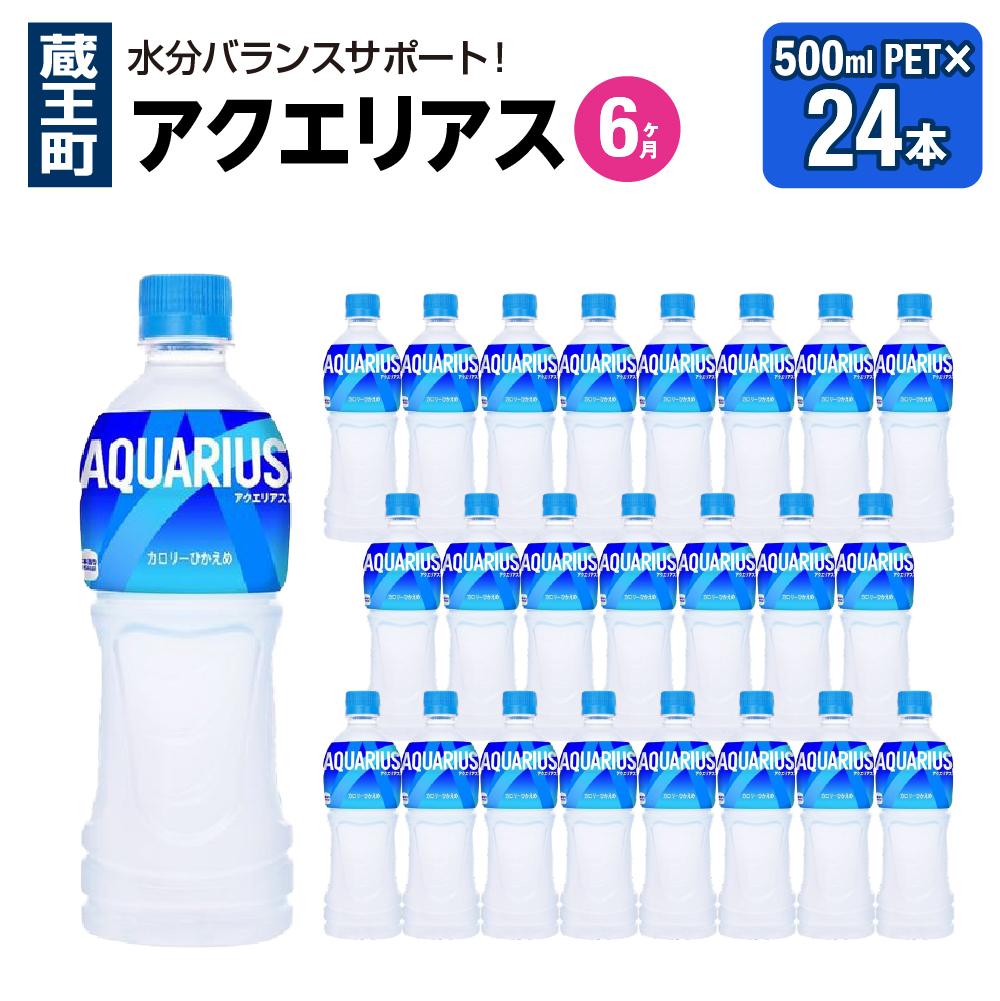 【6か月連続お届け】アクエリアス　500ml PET×24本　【04301-0706】