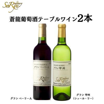 ふるさと納税 甲州市 蒼龍葡萄酒テーブルワイン赤白2本セット　B12660