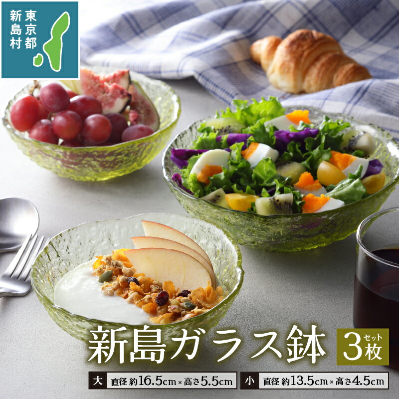 【ふるさと納税】 工芸品 ガラス 食器 お皿 小鉢 フルーツ皿 ボウル セット うつわ おしゃれ かわいい キッチングッズ キッチン雑貨 ガラス工芸品 新島ガラス鉢3点セット 東京 新島 式根島 新島ガラスアートセンター