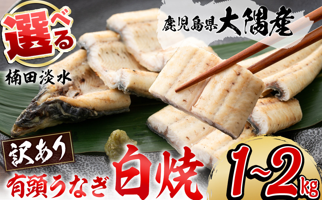 
【内容量が選べる！】【訳あり】鹿児島県大隅産！楠田の極うなぎ白焼き 有頭(1kg～2kg・約5尾～14尾) うなぎ 鰻 ウナギ 国産 鹿児島県産 九州産 白焼き 冷凍 うな重 ひつまぶし
