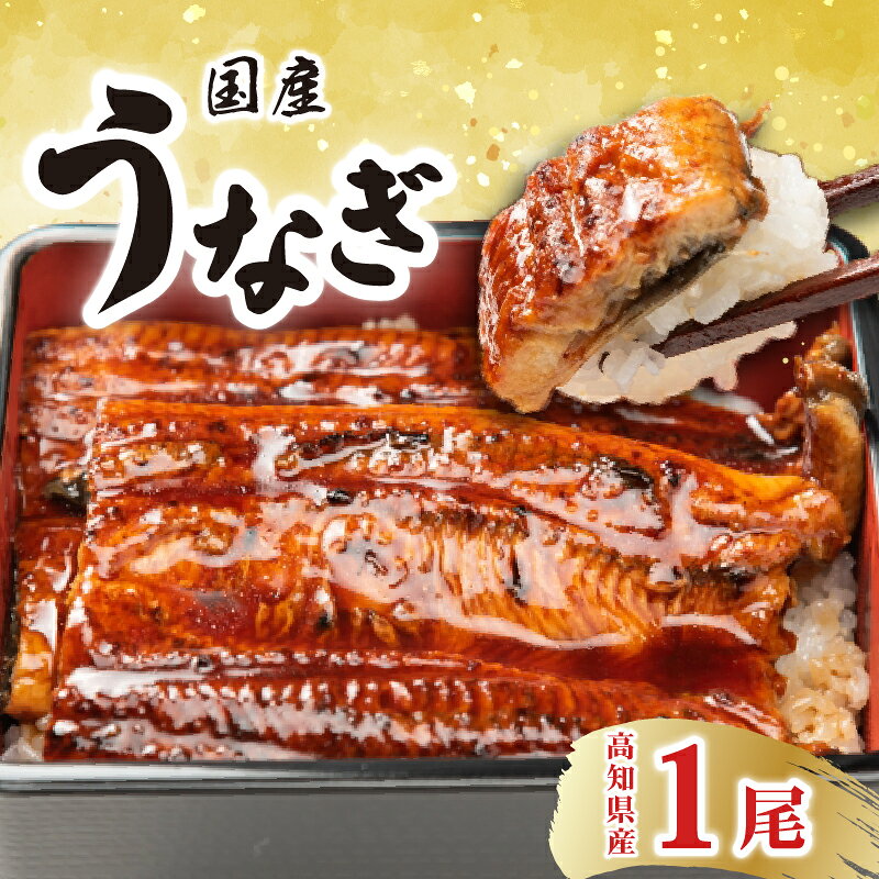 【ふるさと納税】 厳選！！高知県産うなぎ（1尾）　特製たれで味わう　四万十川など清流が多い高知県産のウナギ　国産　地域で人気の有名店　送料無料