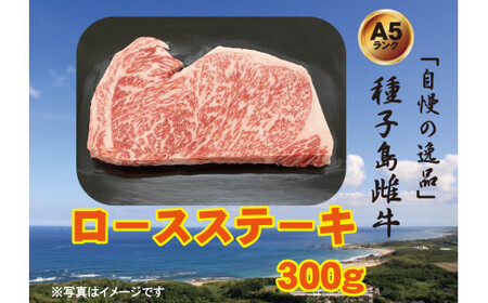 「 自慢 の逸品」 種子島 生まれ 雌牛 ステーキ 用 （300g）　NFN542 【600pt】　// 牛肉 和牛 牛肉 和牛 牛肉 和牛 牛肉 和牛 牛肉 和牛 牛肉 和牛 牛肉 和牛 牛肉 和牛 牛肉 和牛 牛肉 和牛 牛肉 和牛 牛肉 和牛 牛肉 和牛 牛肉 和牛 牛肉 和牛 牛肉 和牛 牛肉 和牛 牛肉 和牛 牛肉 和牛 牛肉 和牛 牛肉 和牛 牛肉 和牛 牛肉 和牛 牛肉 和牛 牛肉 和牛 牛肉 和牛 牛肉 和牛 牛肉 和牛 牛肉 和牛 牛肉 和牛 牛肉 和牛 牛肉 和牛 牛肉 和牛 牛肉 和牛