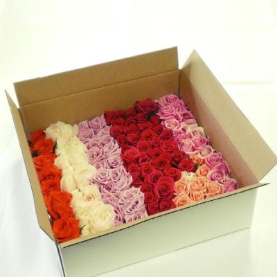ふるさと納税 世羅町 【バラ風呂用】バラの花 (約90輪) |  | 01