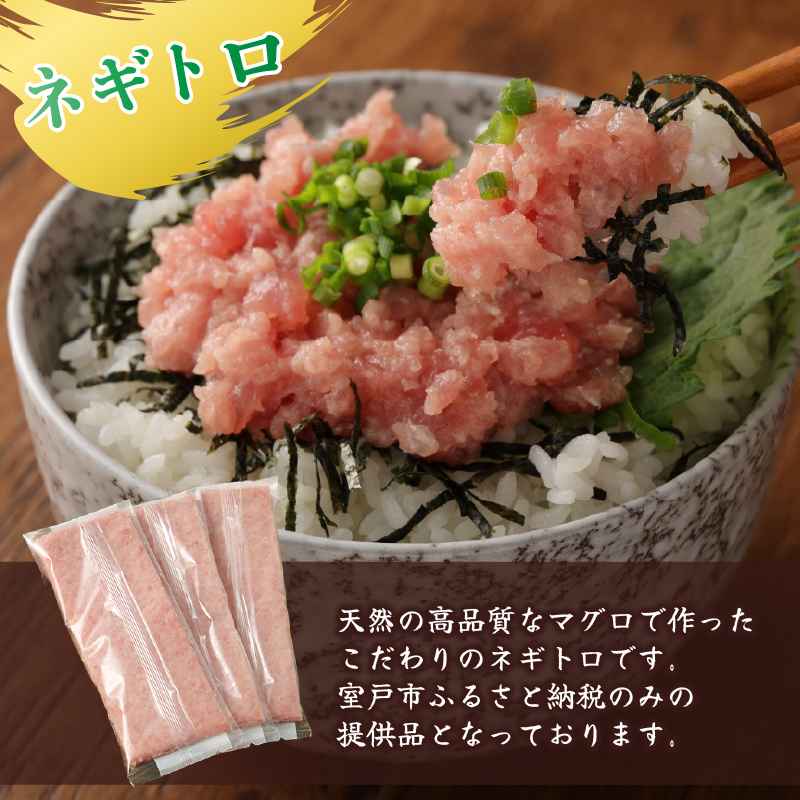 【 全2回定期便 】ネギトロ と カツオ の 定期便 海鮮 鮪 鰹 定期 セット まぐろ カツオのたたき ネギトロ 中トロ 刺身 海鮮 鰹 冷凍 魚 海産物 魚介類 高知県 まぐろたたき 鮪 藁焼き 