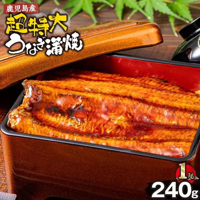 鹿児島産 超特大 うなぎ蒲焼 ( 無頭 ) (計240g以上・240g以上×1尾) 鰻 蒲焼き 真空パック【株式会社財宝】A1041