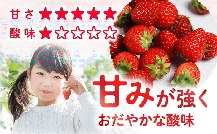 かおりの いちご 3kg