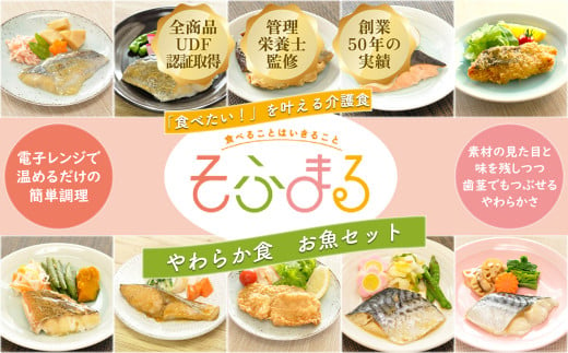 M-C15.【そふまるやわらか食】お魚セット（10点入）