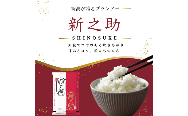 先行予約【10月より順次出荷】令和8年産 新潟県 上越市産 新之助 5kg 白米 精米 送料無料 塩崎農場
