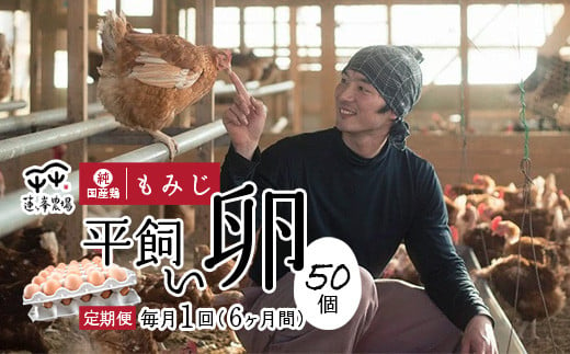 【定期便6ヶ月】 平飼いたまご 50個×6ヶ月間 【 卵定期便 たまご定期便 平飼い卵 非遺伝子組み換え 自家配合 たまご タマゴ 平飼い 卵 国産 純国産鶏 もみじの平飼い卵 京都奥丹波 綾部 京都 蓮ヶ峯農場 】