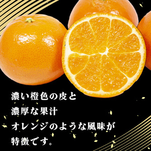 【2024年12月から発送】みはや 家庭用5kg 新品種 紅いダイヤ 愛媛中島産    数量選択可  ｜みかん 数量限定 年内配送 みかん 愛媛県産 みかん  松山市 みかん 中島 みかん  みかん 