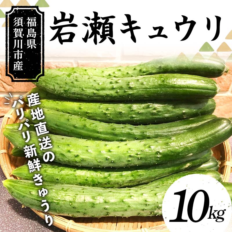 【ふるさと納税】福島県須賀川市産 岩瀬キュウリ10kg 産地直送のパリパリ新鮮きゅうり F7X-0132