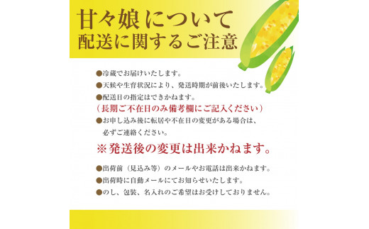 【2025年6月上旬から発送】プレミアムとうもろこし「甘々娘」6本入 山梨県市川三郷町産Inakakara[5839-1817]