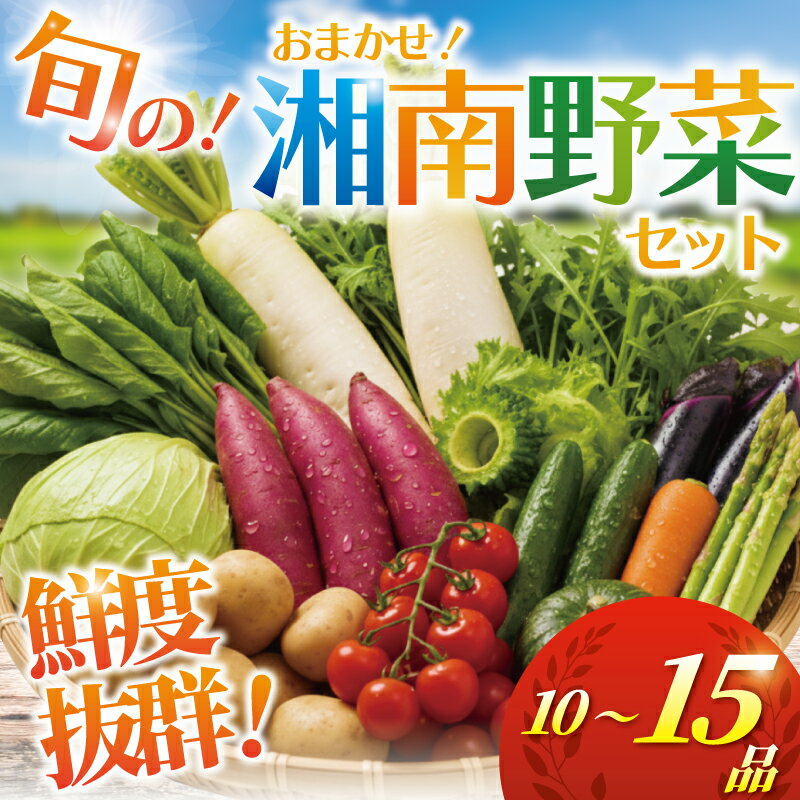 【ふるさと納税】 野菜 セット 旬 の 湘南野菜 おまかせ セット 10 ～ 15品 お任せ 詰め合わせ 野菜セット やさい やさいセット yasai きゅうり トマト なす ねぎ さといも 小松菜 白菜 玉ねぎ とまと キュウリ ヤサイ yasai 旬の野菜セット 新鮮 数量限定 神奈川 湘南 藤沢