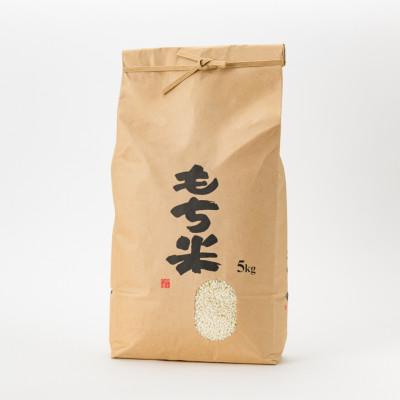 ふるさと納税 新庄市 新庄産米「ヒメノモチ」(精米)5kg