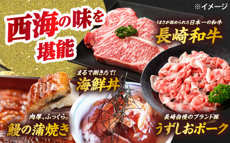 【6回 定期便 】お肉と海の幸～見つけた！西海の宝物定期便～ [CZZ021] 西海市 定期便 月替わり 長崎和牛 サーロイン さーろいん ステーキ 鰻 うなぎ 