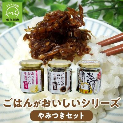 ふるさと納税 南九州市 ごはんがおいしいシリーズ(やみつきセット)